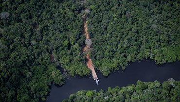 الأمازون تخسر أشجارها (أ ف ب).