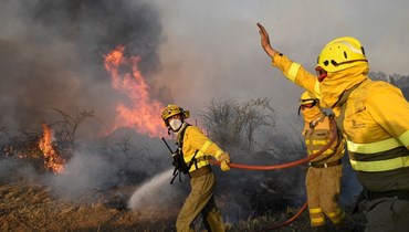 رجال إطفاء يحاولون إخماد حريق غابات بالقرب من قرية تابارا بالقرب من زامورا شمال إسبانيا (18 تموز 2022، أ ف ب).