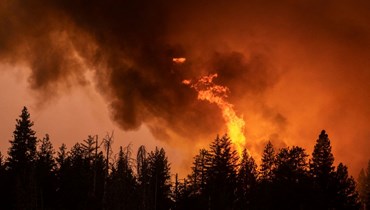 غابة تحترق قرب ميدباينز شمال شرق ماريبوسا بكاليفورنيا (23 تموز 2022، أ ف ب). 