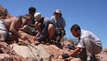 الكشف عن بقايا ديناصور صغير مدرّع في الأرجنتين.