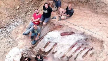 العثور في البرتغال على هيكل عظمي لديناصور صوروبودا ضخم.