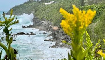 أمواج تتكسر على الصخور في تشيرش باي في برمودا، في وقت كان الإعصار فيونا يتجه نحو الجزيرة (22 أيلول 2022، أ ف ب). 