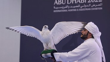 صورة نشرتها وكالة انباء الامارات مع خبر بيع أغلى صقر في تاريخ معرض ابو ظبي الدولي للصيد والفروسية (2 ت1 2022). 