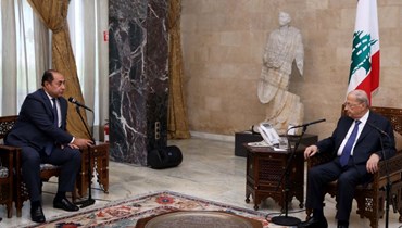 السفير حسام زكي التقى الرئيس ميشال عون.