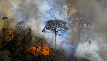 حريق في غابات الأمازون (أ ف ب).