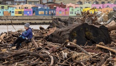 امرأة تجلس مع طفلها بين أشجار جرفتها العواصف الأخيرة في المحيط قبل ان تستقر على الشاطئ في كابيتولا بكاليفورنيا (15 ك2 2023، أ ف ب). 