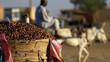 ثمار التمر معروضة في منطقة الملتقى بالولاية الشمالية في السودان ( 28 آذار 2023 - أ ف ب).