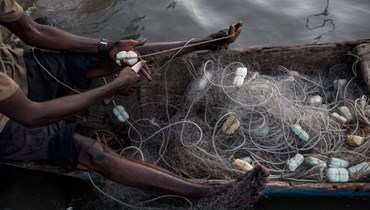 صياد يصلح شبكة الصيد الخاصة به على طول نهر كازامانس في السينغال (أ ف ب). 