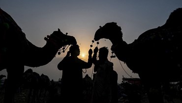 يقف المزارعون بجانب الإبل في سوق للماشية قبل عيد الأضحى في لاهور (أ ف ب). 