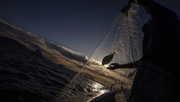 يسحب الصيادون الشباك من الماء إلى قاربهم بالقرب من شاطئ في ريو دي جانيرو بالبرازيل (أ ف ب). 