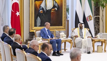  رئيس الإمارات محمد بن زايد آل نهيان والرئيس التركي رجب طيب إردوغان في أبو ظبي (أ ف ب). 