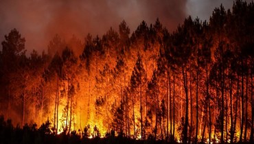 حريق الغابات في فرنسا (أ ف ب). 