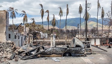 احتراق أشجار النخيل وتدمير السيارات والمباني في أعقاب حريق هائل في لاهاينا، غرب ماوي، هاواي (أ ف ب).
