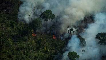  انبعاثات الكربون في الأمازون.