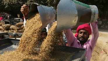 عمال يحمّلون الأرز في آلة لفصل الحبوب عن القشرة في سوق الحبوب بالجملة في أمريتسار بالهند (5 ت1 2023، أ ف ب).