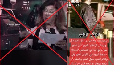 "عماد مغنية في فلسطين... وليلى عبد اللطيف صدقت"؟  إليكم الحقيقة FactCheck#