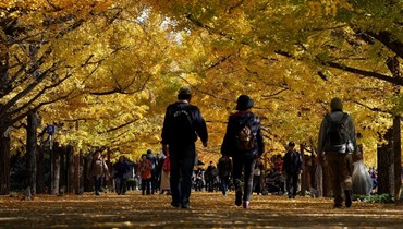أشخاص يتجولون في حديقة شو كينين في تاتشيكاوا بمحافظة طوكيو (21 ت2 2023، أ ف ب). 