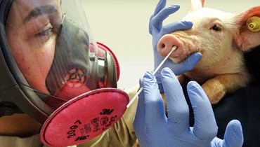 رصد أول حالة بشرية مصابة بمتحور أنفلونزا مشابه لفيروس يصيب الخنازير