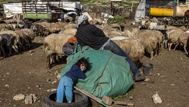النازحون الفلسطينّون في تلال خلّة مكحول شرق قرية طمون في وادي الأردن بالضفة الغربية المحتلّة  (أ ف ب). 
