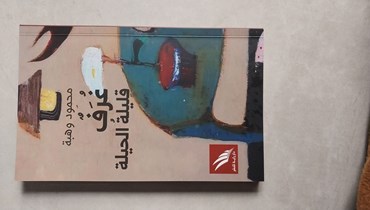 "غرف قليلة الحيلة" للشاعر محمود وهبة.
