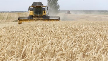 القمح في أوكرانيا (أ ف ب).
