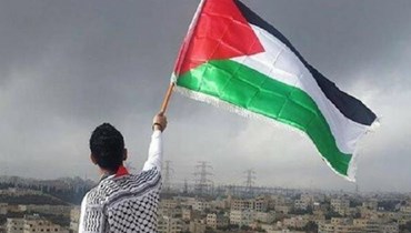شاب يرفع العلم فلسطيني (تعبيرية).