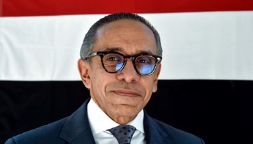 السفير المصري علاء موسى.