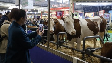 زائرة تلتقط صورة لبقرة في المعرض الزراعي الدولي الـ60 بمركز بورت دو فرساي للمعارض في باريس (26 شباط 2024ـ أ ف ب).