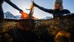 إريكسن (الى اليمين) تلتقط الطحالب في فاريد بالقرب من فلاكستاد، في جزر لوفوتن (4 آذار 2024، أ ف ب). 