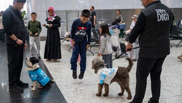 طفل يتفاعل مع كلب علاجي في مطار إسطنبول (3 ايار 2024ـ أ ف ب). 