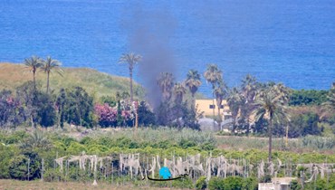 غارة النجارية ترفع منسوب التصعيد في جنوب لبنان... ومقتل قيادي لـ"حماس" على طريق المصنع (فيديو - صور)