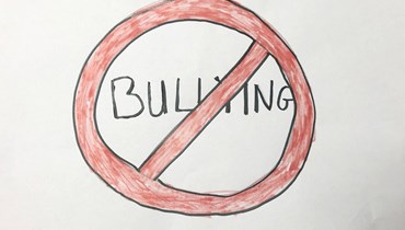 Bullying schools