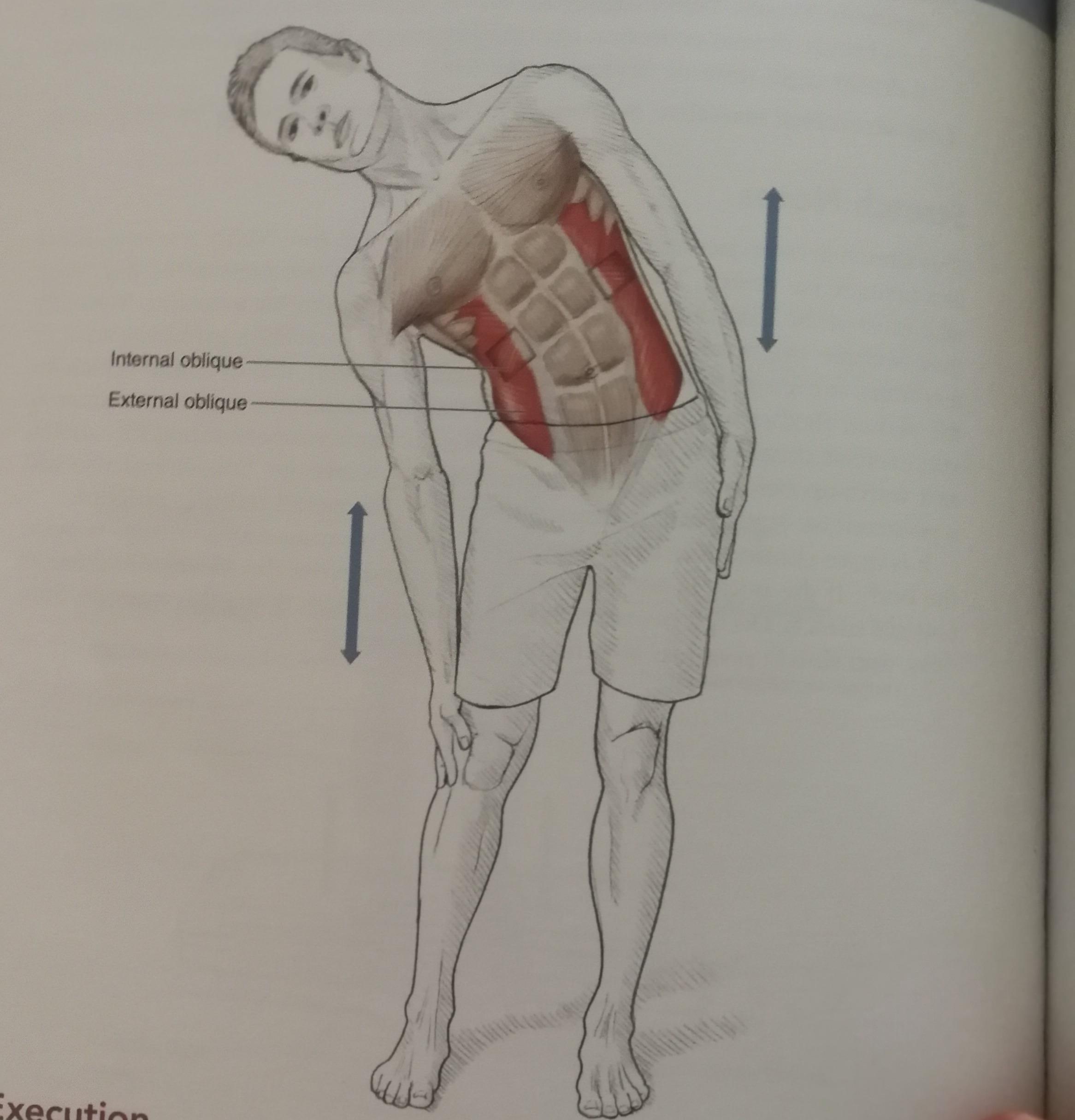 5 حركات تمدّد جسمك بعد يوم طويل!  النهار