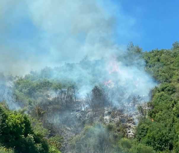 مكبات عشوائية تلهب أحراج بزال العكارية