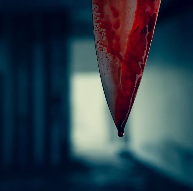 طعنات وخنق حتى الموت: جريمة عجلتون والفوضى القاتلة!