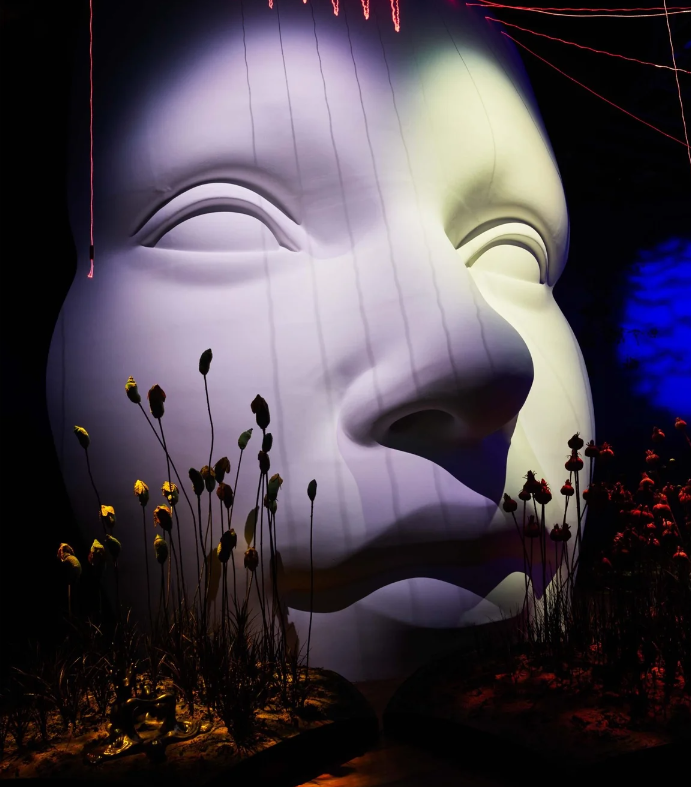 إناث الفايكينغ... أنصاف ساحرات وأنصاف كاهنات