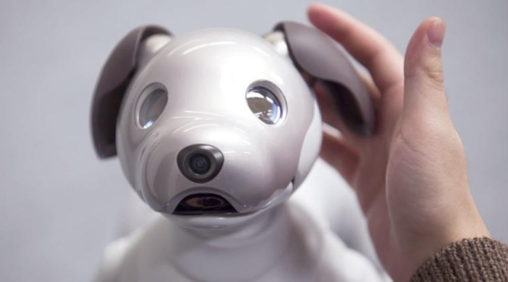 الكلب الدليل.. روبوت صيني يوفر الاستقلالية لضعاف البصر