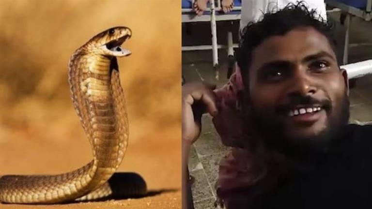 رجل يعض ثعبانا بعدما لدغه... ونجا (صورة)