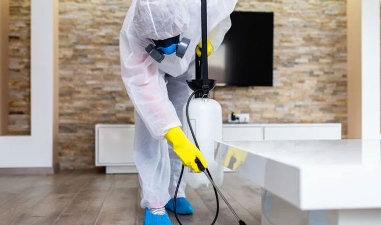 Nadine Khashab and the final 24 hours of her life: two hypotheses reveal a daunting actuality in Lebanon