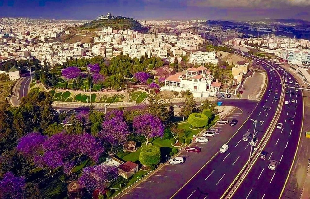 اكتشاف جمال الصيف في السعودية: من أبها إلى فرسان