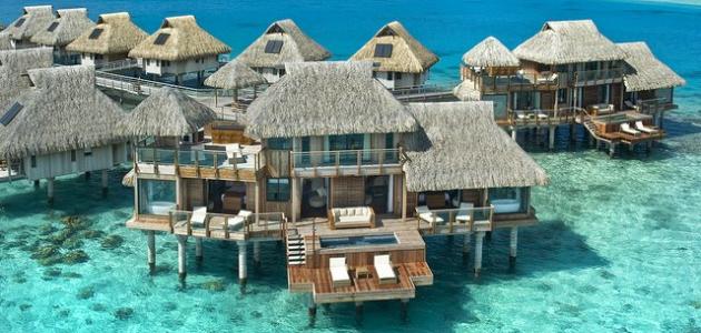 اكتشاف جمال الصيف في السعودية: من أبها إلى فرسان