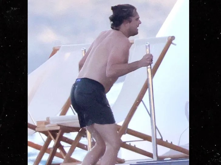 ليوناردو دي كابريو يتعرض للسعة قنديل في عطلته مع حبيبته