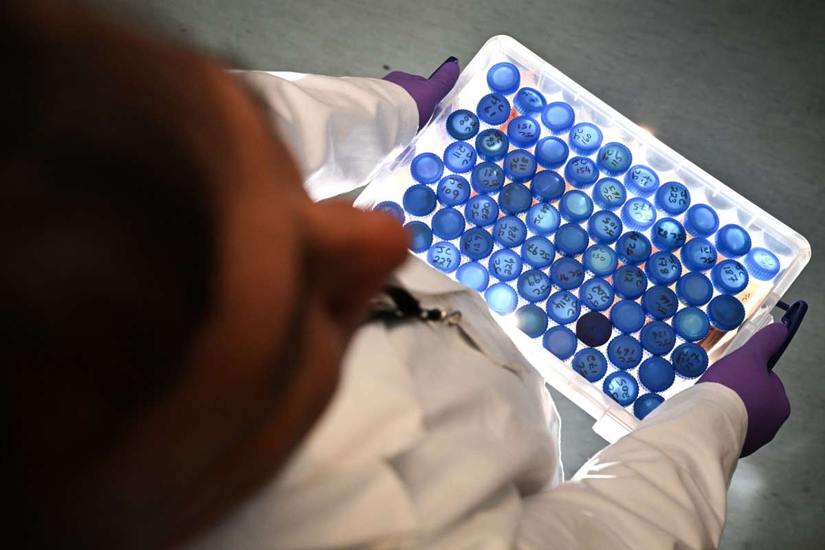 بريطانيا تواجه العسل المغشوش بتقنيات الليزر... الخطر لا يأتي من النحل 