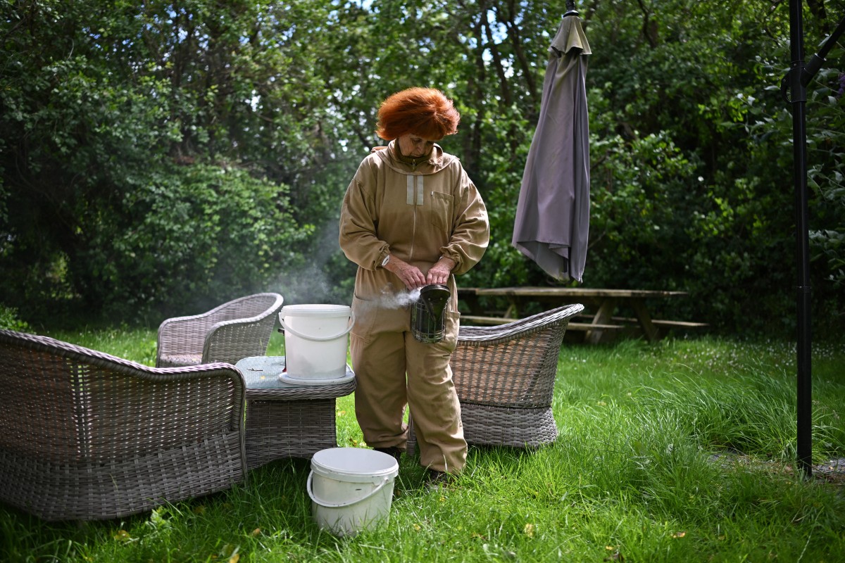بريطانيا تواجه العسل المغشوش بتقنيات الليزر... الخطر لا يأتي من النحل 