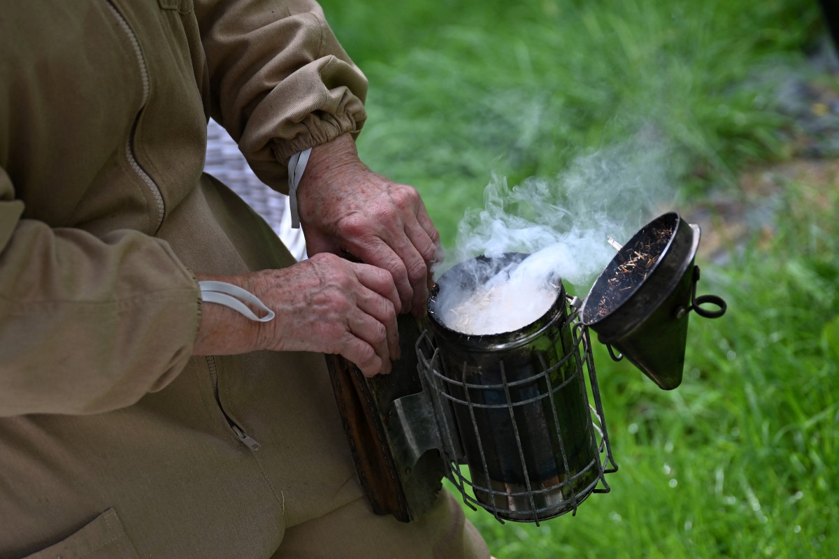 بريطانيا تواجه العسل المغشوش بتقنيات الليزر... الخطر لا يأتي من النحل 