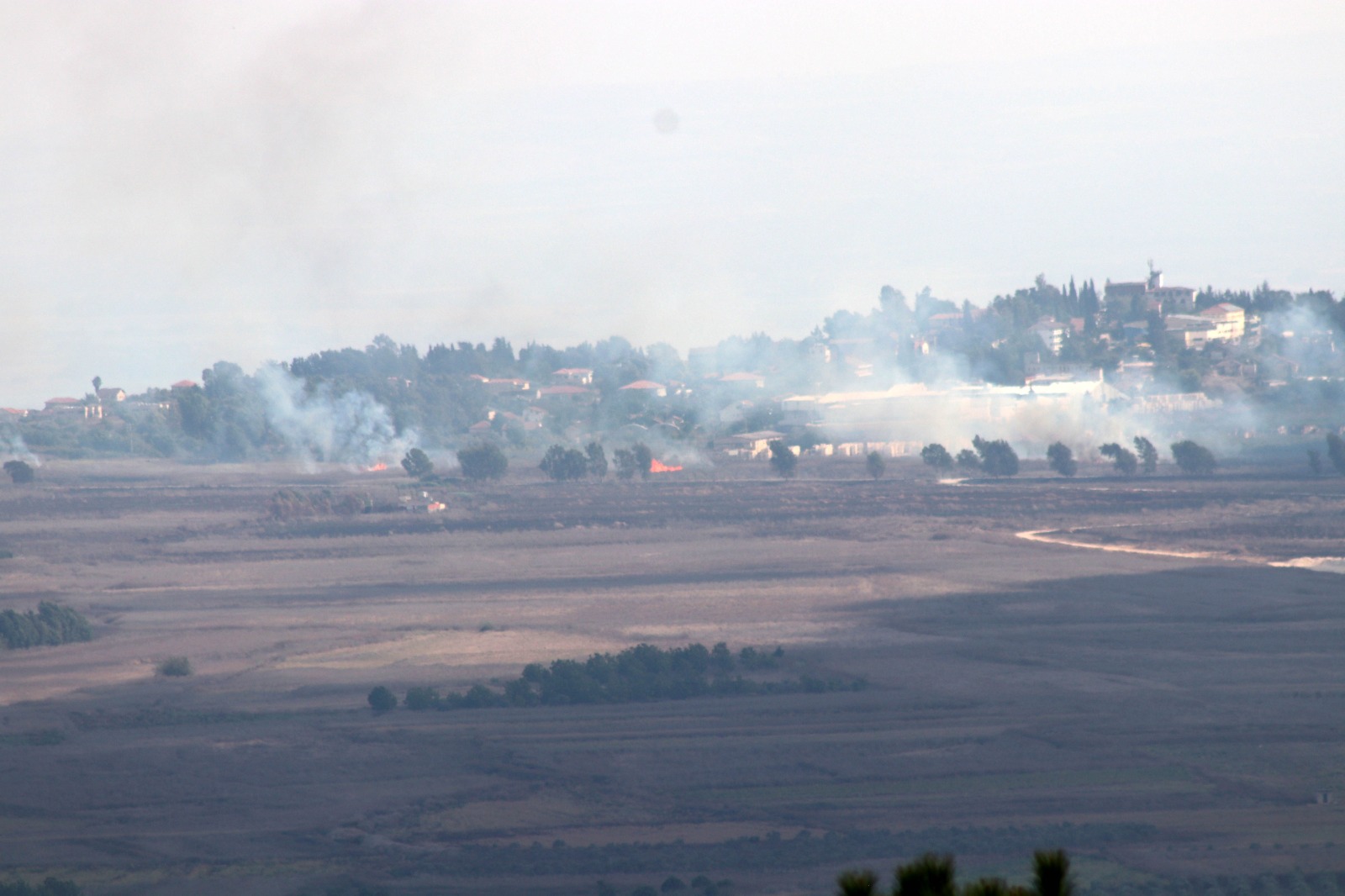 الفوسفوري يحرق أحراج الجنوب.... وهاليفي يعلن الاستعداد لتحركات هجومية ضد حزب الله