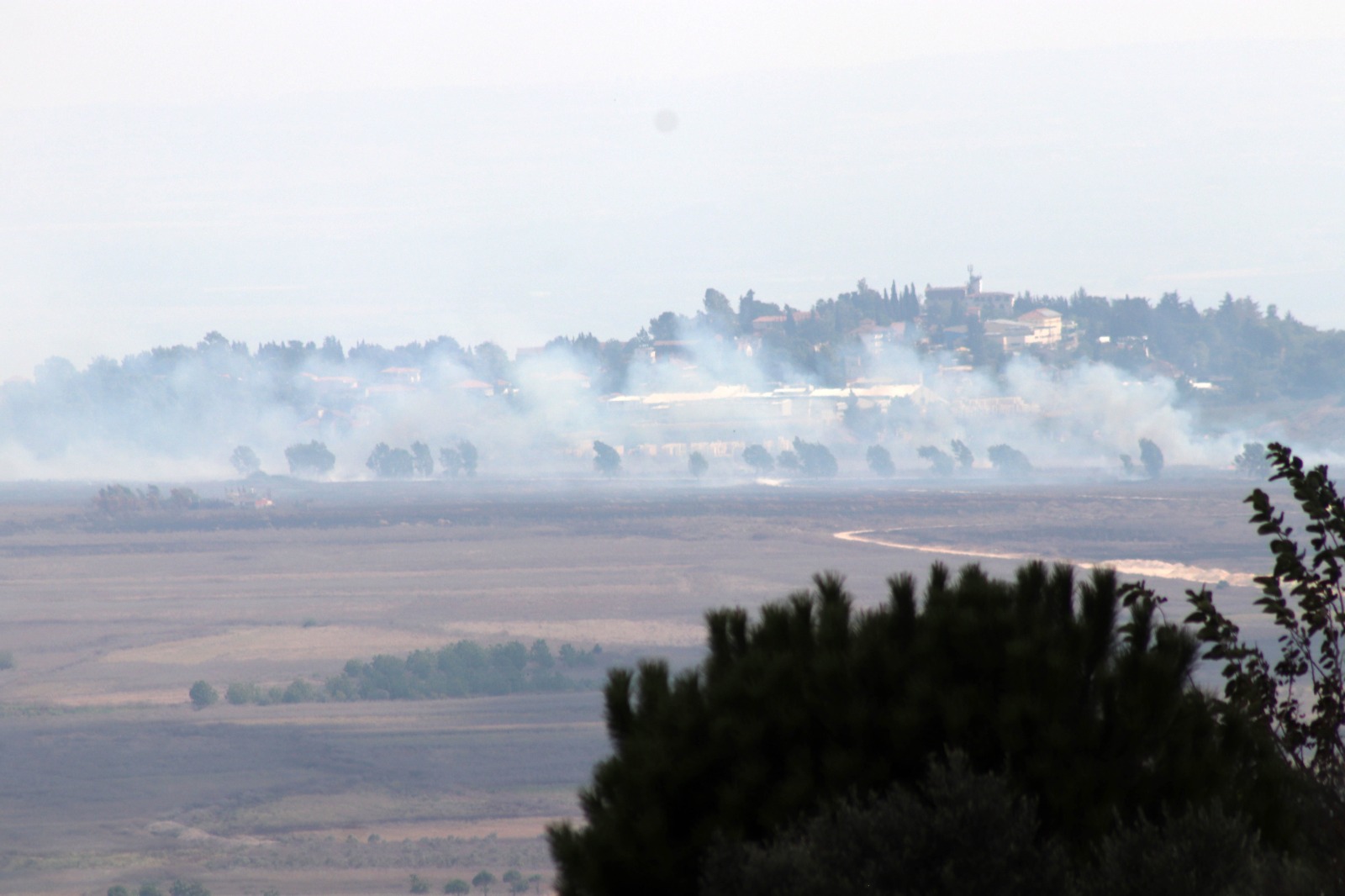 الفوسفوري يحرق أحراج الجنوب.... وهاليفي يعلن الاستعداد لتحركات هجومية ضد حزب الله