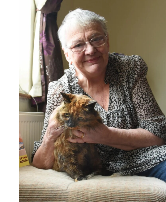 وفاة القطة المعمرة روزي عن 33 عاما