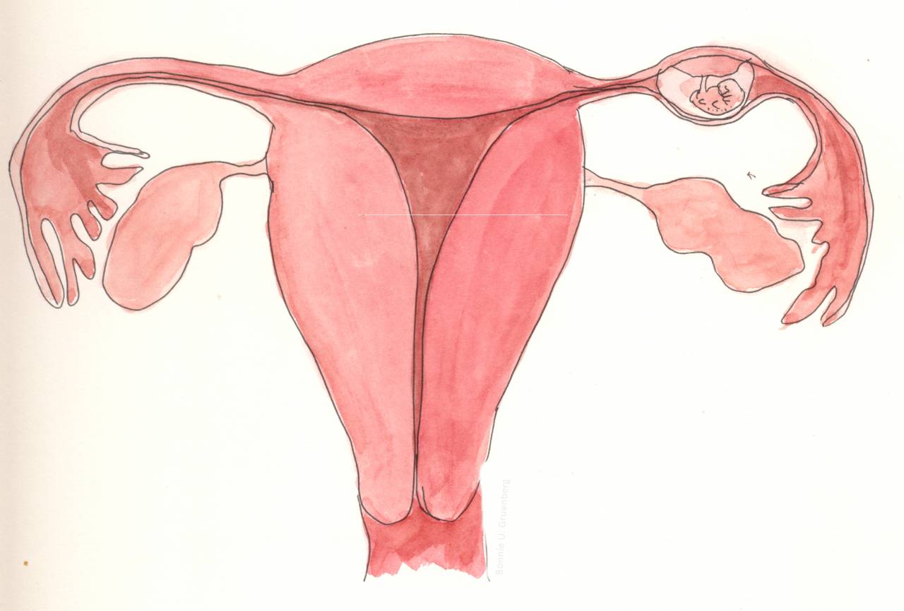 الحمل خارج الرحم: أسبابه وعلاجاته | النهار